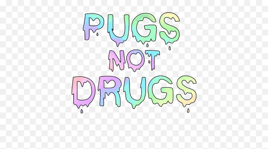 Pugs Not Drugs Uploaded By Vic - Drugs Png Overlay,Drugs Png