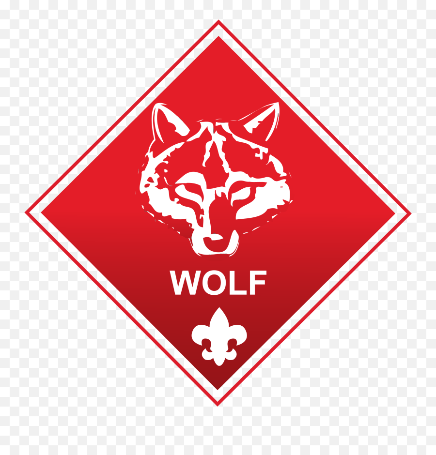 Boy Scouts - Dangerous Good Class 3 Png,Boy Scout Logo Png