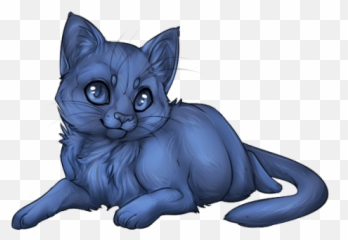 Download Hd Cat Kitten - Transparent PNG Image Domestic