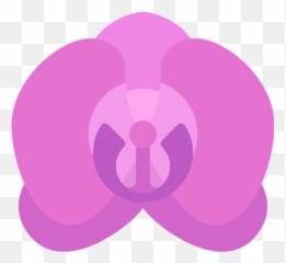 Orchid Vector Svg Icon - PNG Repo Free Icons Hoa Lan Png