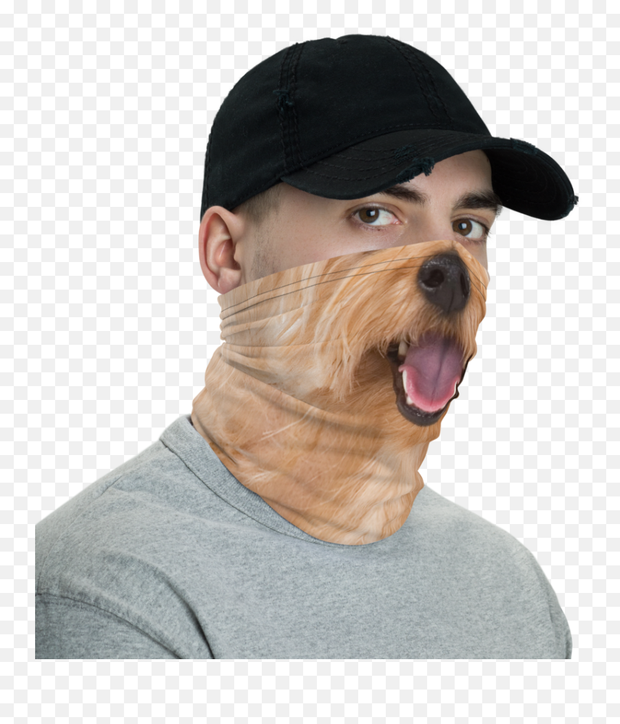 Yorkie Dog Neck Gaiter - Stylish Face Masks For Men Png,Yorkie Png