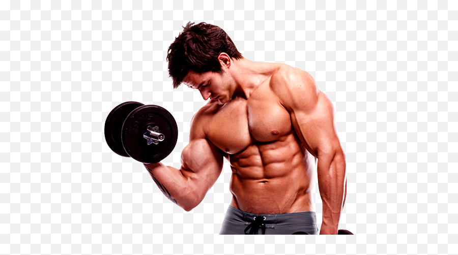 Download Bodybuilding Hd Hq Png Image - Bodybuilding Images Png,Bodybuilder Png