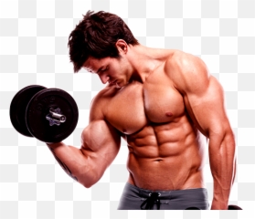 Download Bodybuilding Hd Hq Png Image - Images