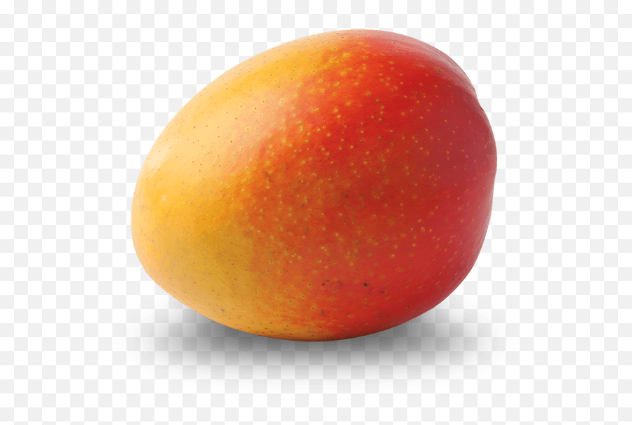 Mango - Alphonso Png,Mango Transparent