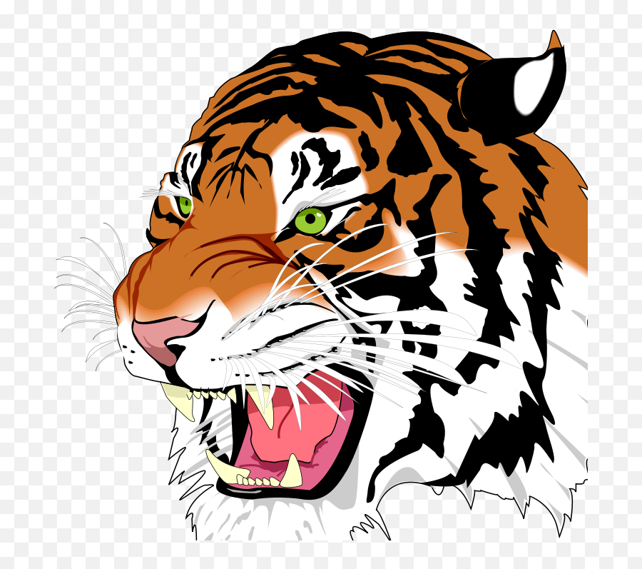 Download White Tiger Png Image With - Tigers Mckinley High School,White Tiger Png
