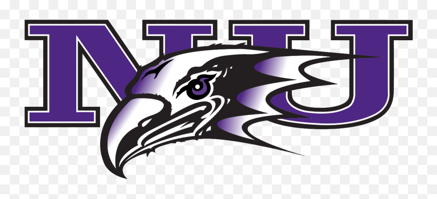 Niagara Purple Eagles - Wikipedia Purple Eagles Niagara University Png,Lavender Logo
