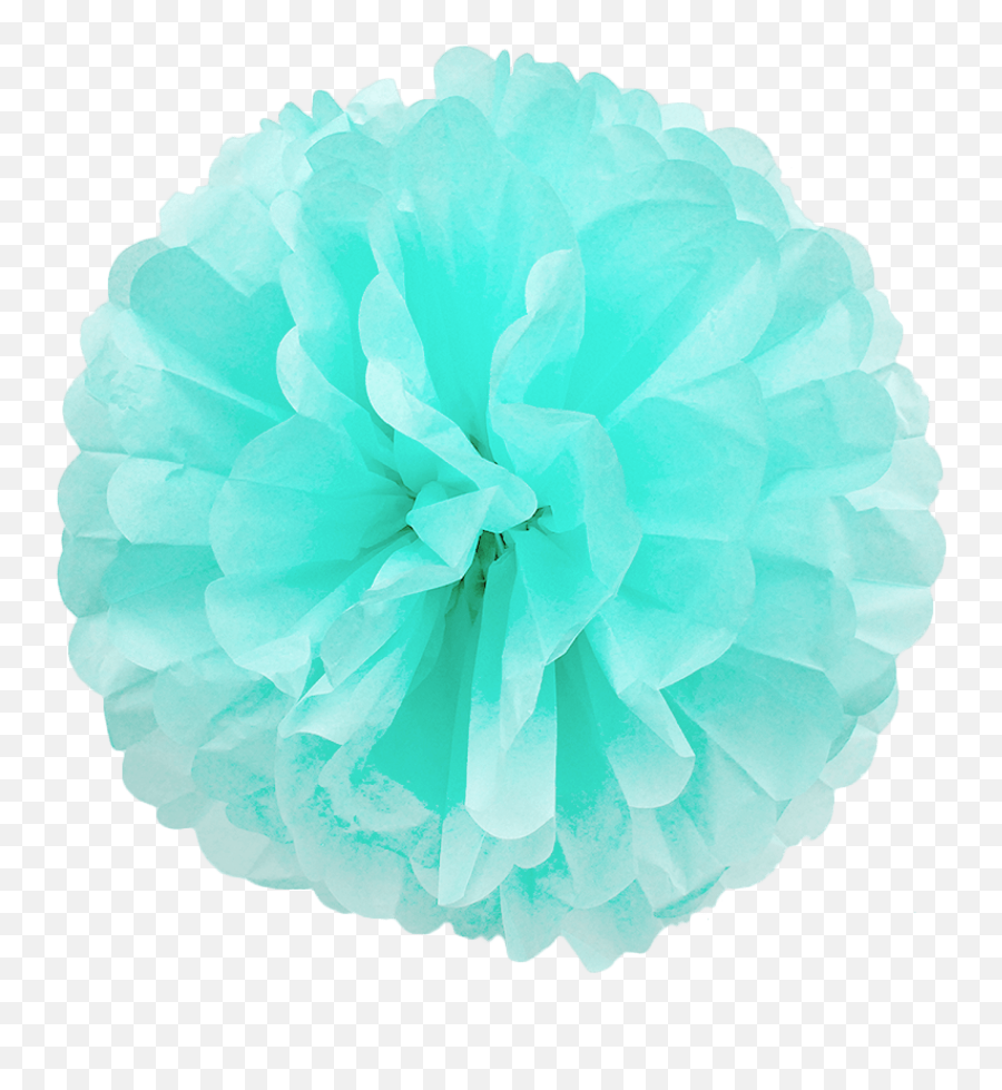 Mint Green Paper Pom Poms - Decorative Png,Pom Poms Png