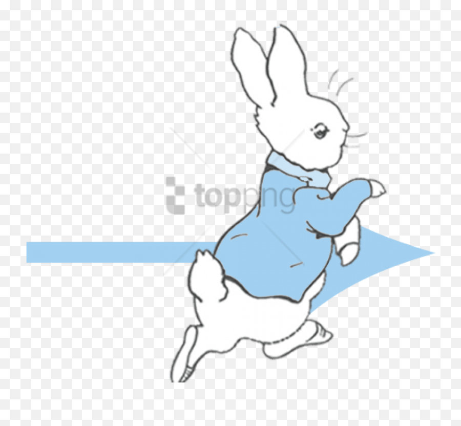 Download Hd Free Png Peter Rabbit Wall Clock Image With - Peter Rabbit Coloring Pages,Peter Rabbit Png