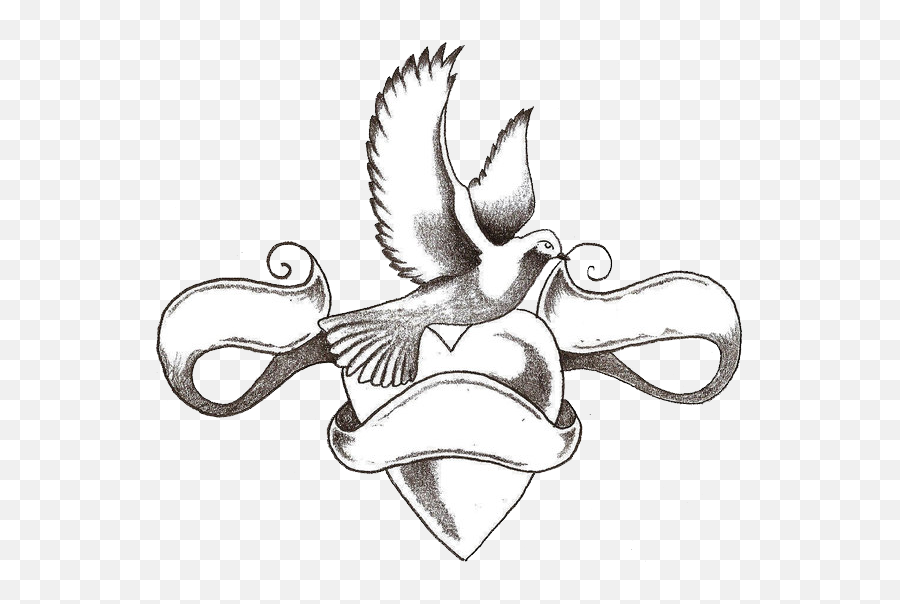 Dove With Heart Tattoo Design Photo - Heart And Dove Tattoo Tattoo Heart Love Drawing Png,Heart Tattoo Png