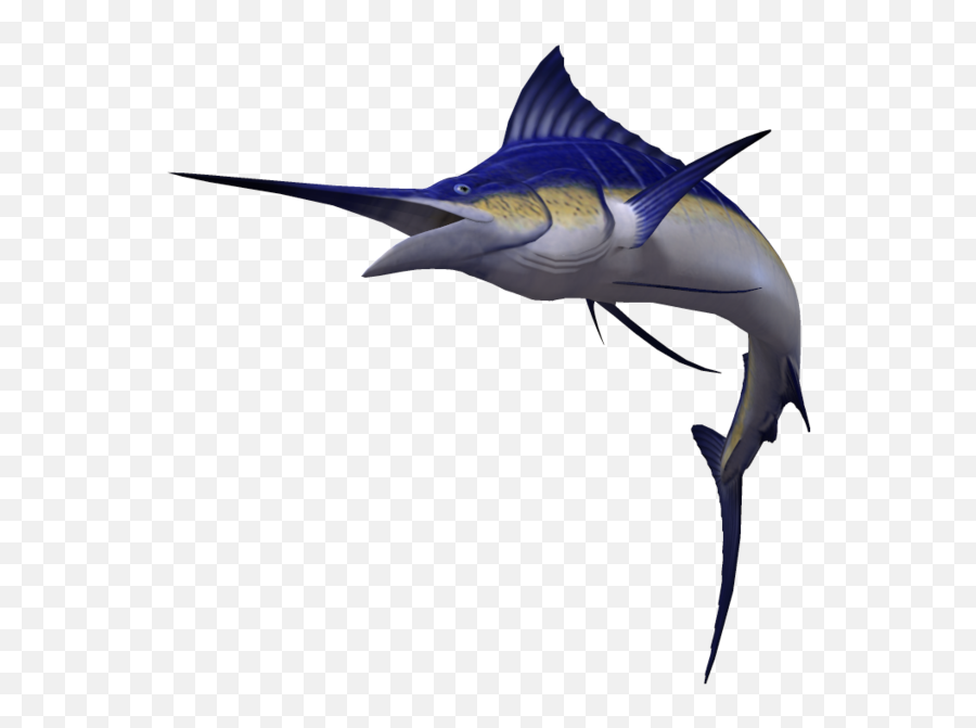 Download Hd Marlin Png Transparent Image - Nicepngcom Real Marlin Png,Marlin Png