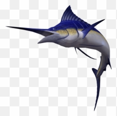 Download Hd Marlin Png Transparent Image - Nicepngcom Real Marlin Png,Marlin Png