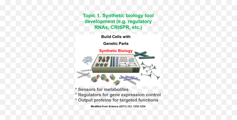 Home Moon Research Group Washington University In St Louis - Engineering Synthetic Biology Png,Taeyong Icon