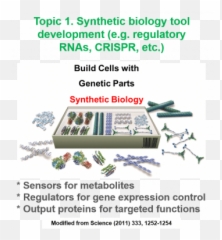Home Moon Research Group Washington University St Louis - Engineering Synthetic Biology png