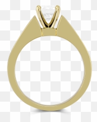 Yellow Gold Double Channel Set Princess Cut Diamond - Solid png