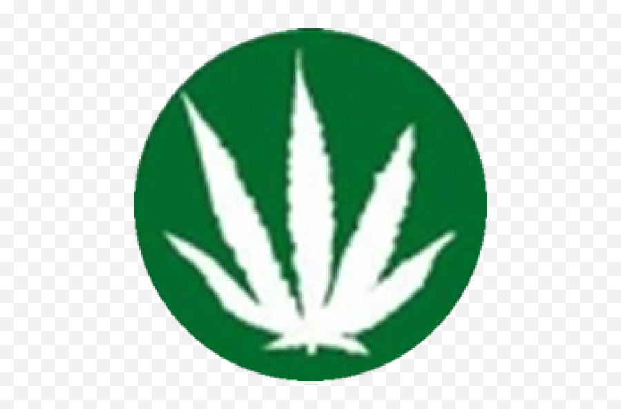 Cropped - Norml Png,Cannabis Leaf Png