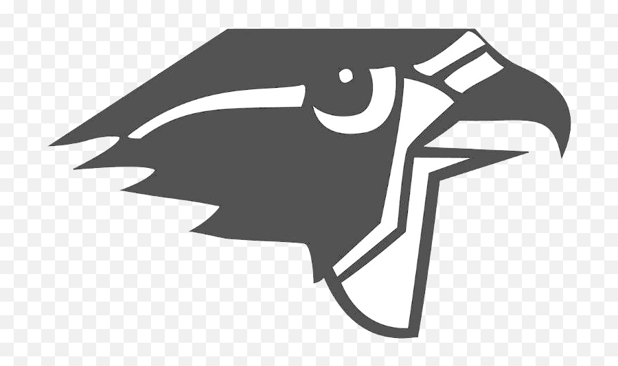 Download Falcons Logo Png - Burlington Township Bt Falcons,Falcons Logo Png