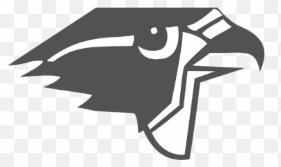 Download Falcons Logo Png - Burlington Township Bt Falcons,Falcons Logo Png