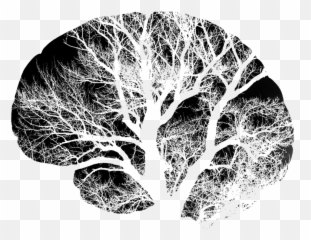 Brain Tree Black Free Image - Png Images Transparent White Brain Clipart,Tree Illustration Png