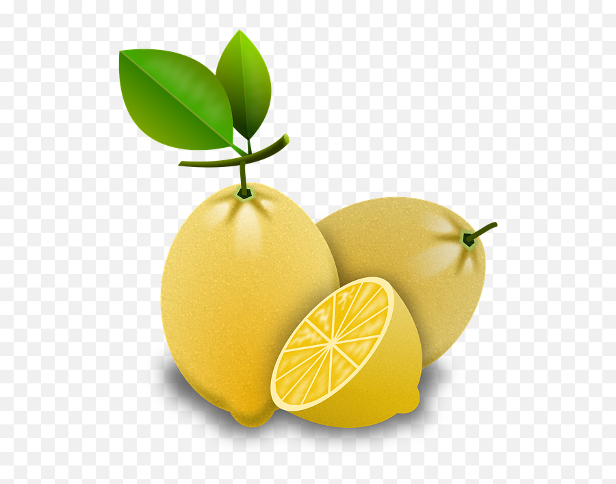 Lemons Citrus Fruits - Jeruk Lemon Vektor Png,Lemon Tree Png