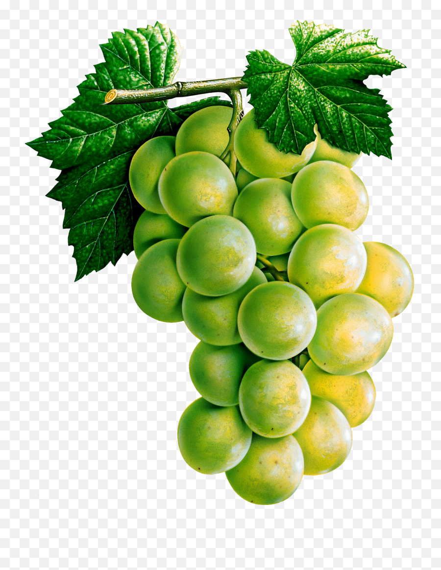 Clipart Image Grape Png Eleven - Laminas De Uvas Para Decoupage,Eleven Png