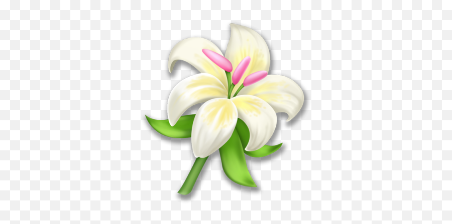 Lily - Lily Png,Lily Png