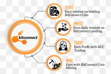 How To Stake Bitconnect Coin And Earn - Bitcoin Pyramid Scheme Png,Bitconnect Png