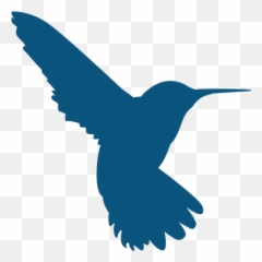 Hummingbirdresources Humgold Twitter - Société Des Mines De Komana Png,Twitter Bird Transparent