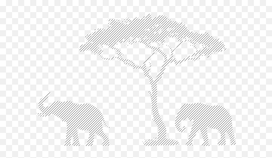 App - Background African Tree Transparent Png,African Tree Png