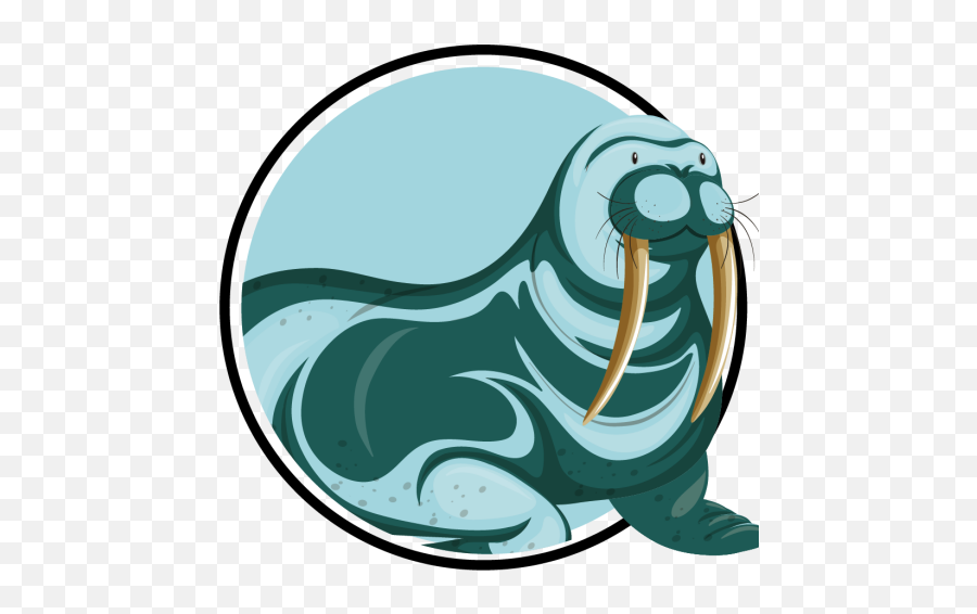 Wealth Walrus U2013 Dedicated To Discussing Health And - Clip Art Png,Walrus Png