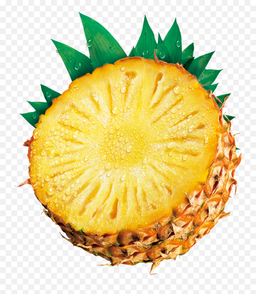 Pineapple Png Clip Art - Pineapple Clip Art U0026 Pineapple Png Pineapple,Pineapple Clipart Transparent Background