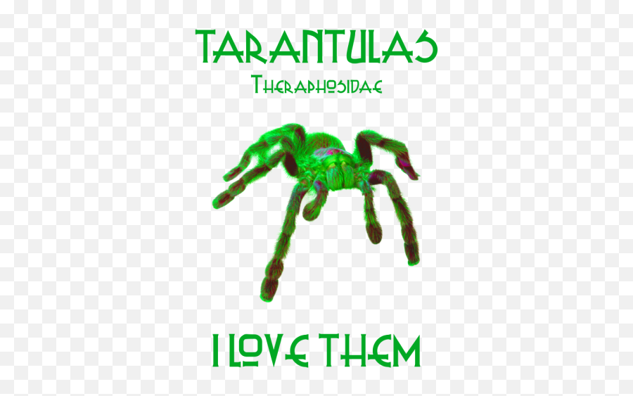 Tarantula 1 By Cyka Blyat Clothing Inktale Png