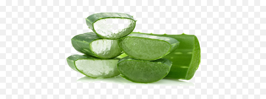 Aloe Vera - Labial De Aloe Vera Png,Aloe Vera Png