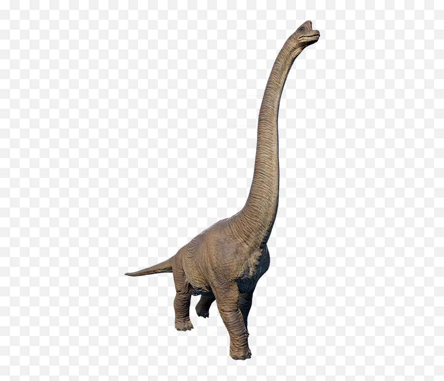 Brachiosaurus In 2020 Prehistoric Animals - Brachiosaurus Jurassic Park Dinosaurs Png,Spinosaurus Png