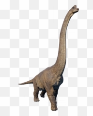 Brachiosaurus In 2020 Prehistoric Animals - Brachiosaurus Jurassic Park Dinosaurs Png,Spinosaurus Png