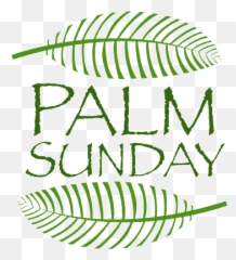 Palm Sunday - Palm Sunday Image Png,Sunday Png