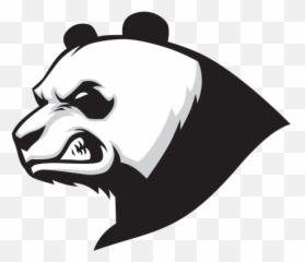 Printed Vinyl Aggressive Panda Head Stickers Factory - Angry Logo Png