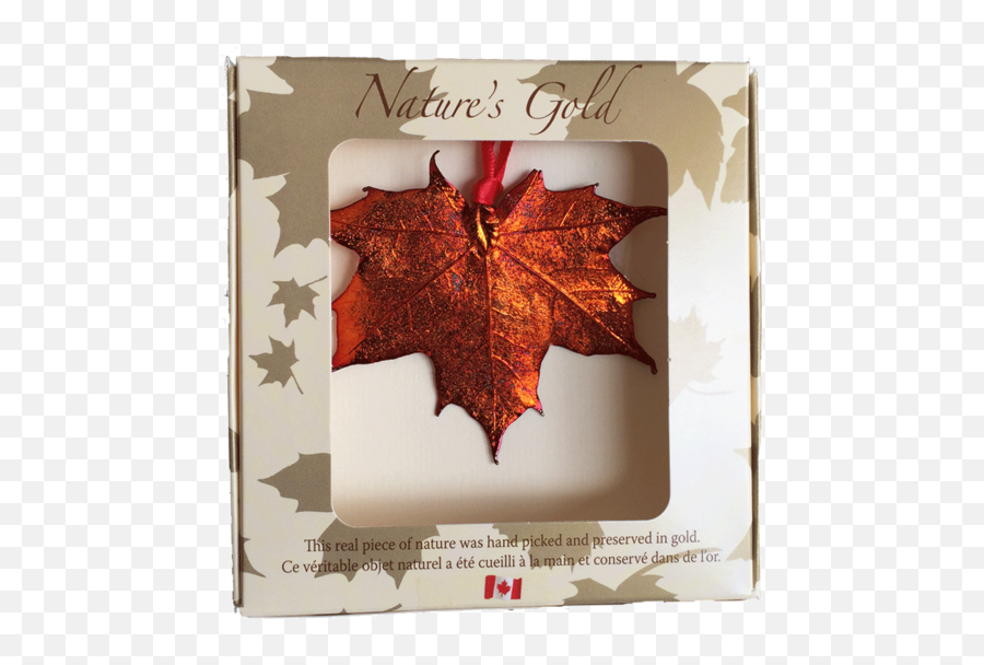 Maple Leaf Brooch - Copper Made In Canada Gifts Gold Maple Leaf Pendant Canada Png,Maple Leaf Transparent