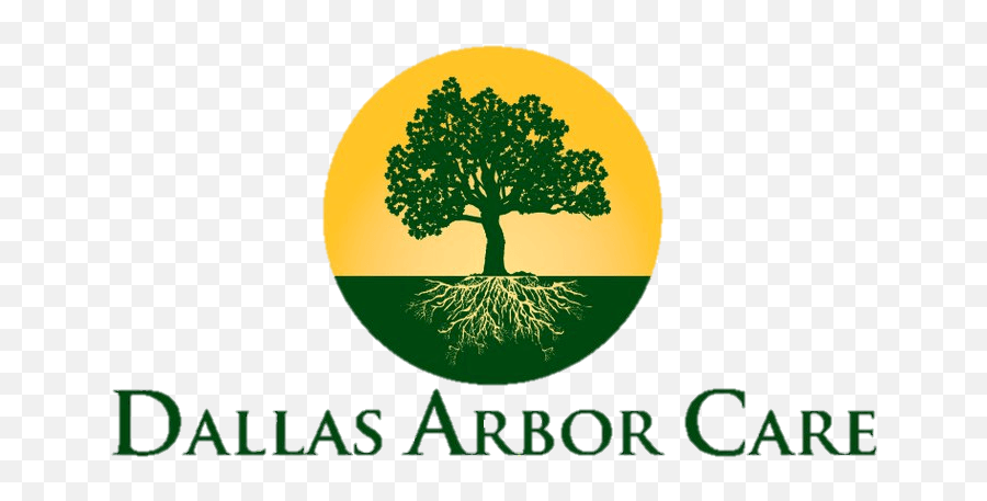 Dallas Arbor Care - 1 Rated Stump Grinding Service Dallas Dallas Arborcare Png,Stump Png