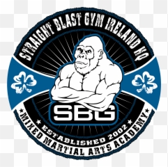 Dublinu0027s Premier Mixed Martial Arts U0026 Brazilian Jiu Jitsu - Straight Blast Gym Ireland Png,Brazilian Jiu Jitsu Logo