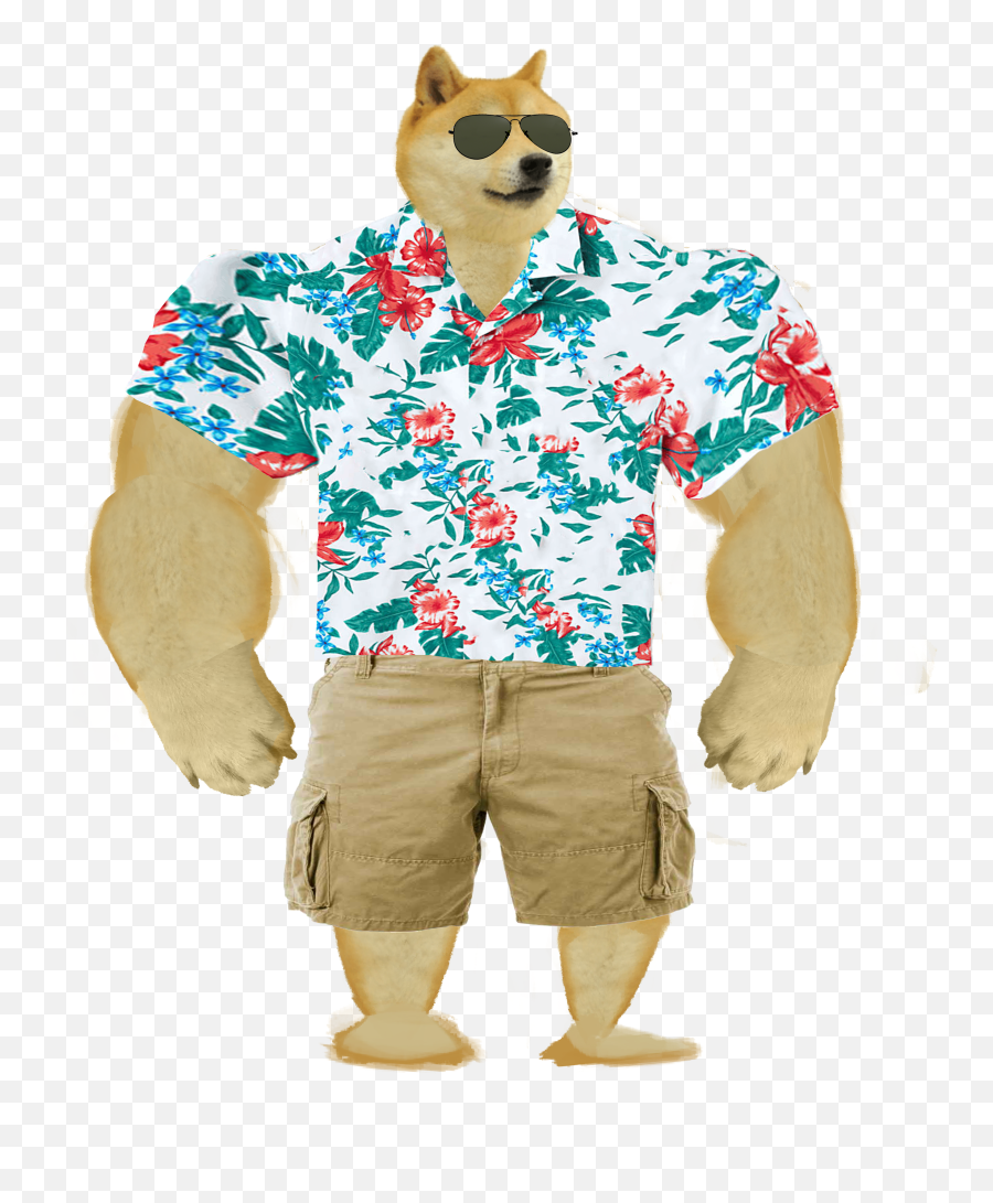 Someone Asked For Transparent Surfer Doge So Here He Is - Bermuda Shorts Png,Doge Transparent