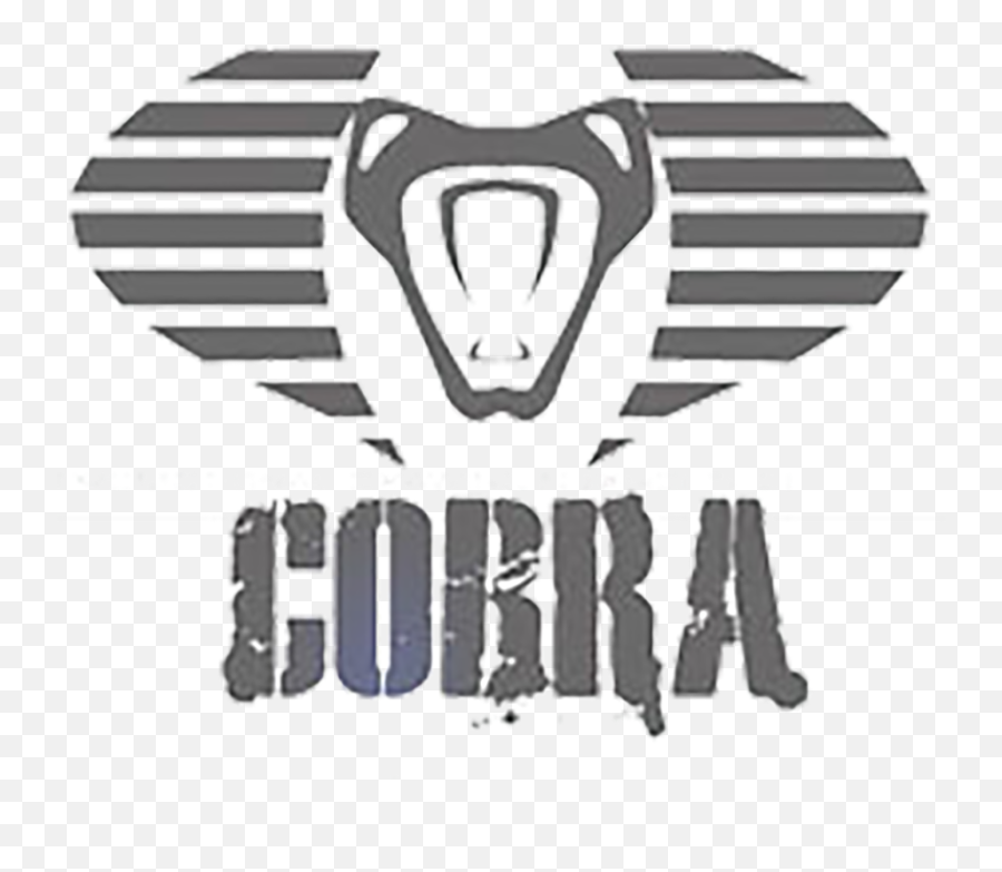 E - E Blue Cobra Logo Png,Cobra Logo Png