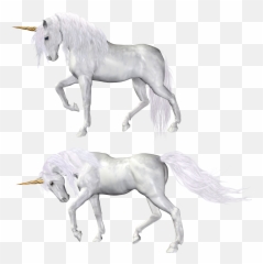 Unicorn Png - Make Unicorns In Paper,Transparent Unicorn
