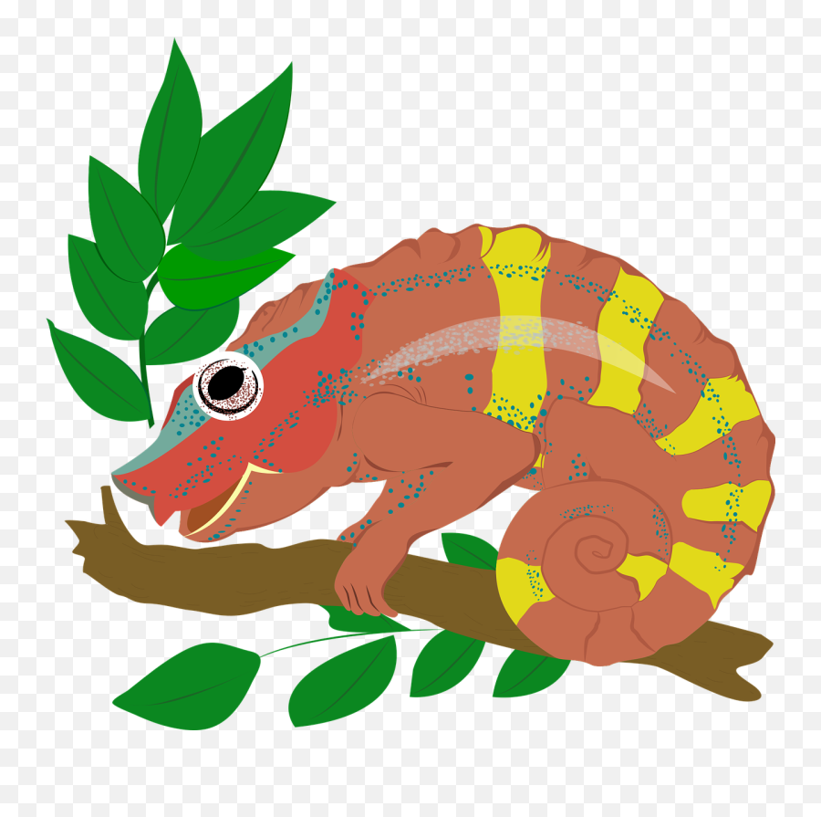 Animal Chameleon Icon - Animal Figure Png,Lizard Icon