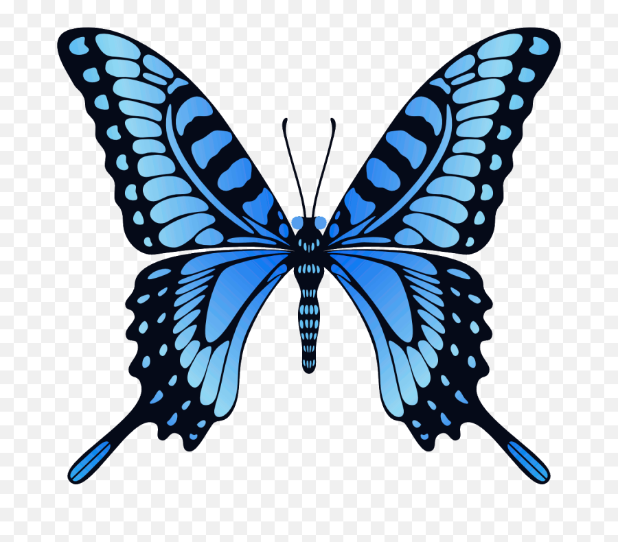 Featured image of post White Butterfly Gif Png Choose from 170 white butterfly graphic resources and download in the form of png eps ai or psd
