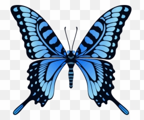 Butterfly Png Transparent Background Play - Animated Gif Animation