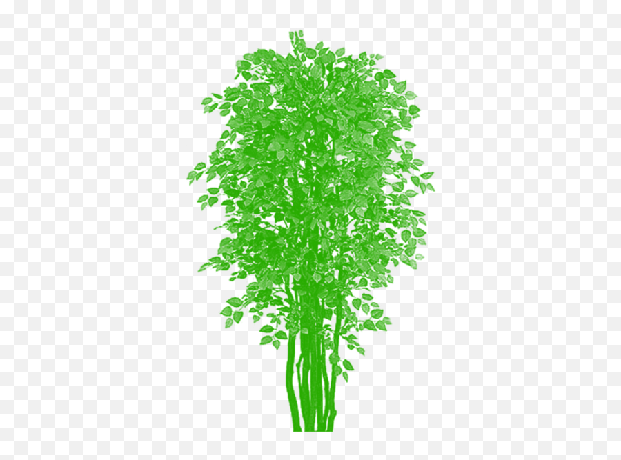 Tree Top View Png - Tree Clipart Png Plan Artificial Plant Plants Balcony Png,Tree Plan Png