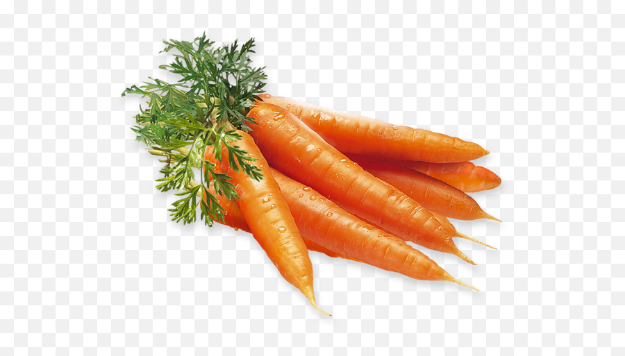 Carrot Png Images Carrots Clipart Free Download - Free Gulrøtter Gulrot,Carrot Transparent Background