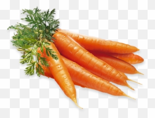 Carrot Png Images Carrots Clipart Free Download - Free Gulrøtter Gulrot,Carrot Transparent Background