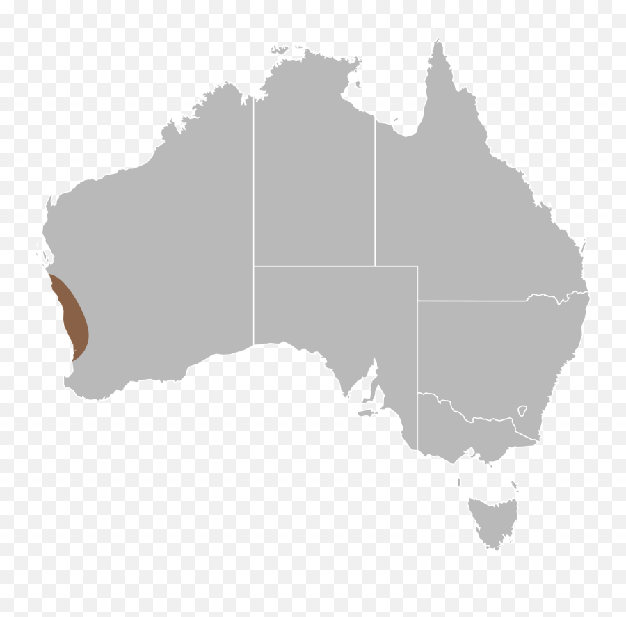 Javelin Lizard - Wikipedia Australia Free Map Png,Javelin Icon