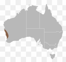 Javelin Lizard - Wikipedia Australia Free Map png